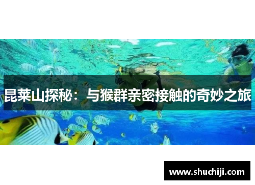 昆莱山探秘：与猴群亲密接触的奇妙之旅